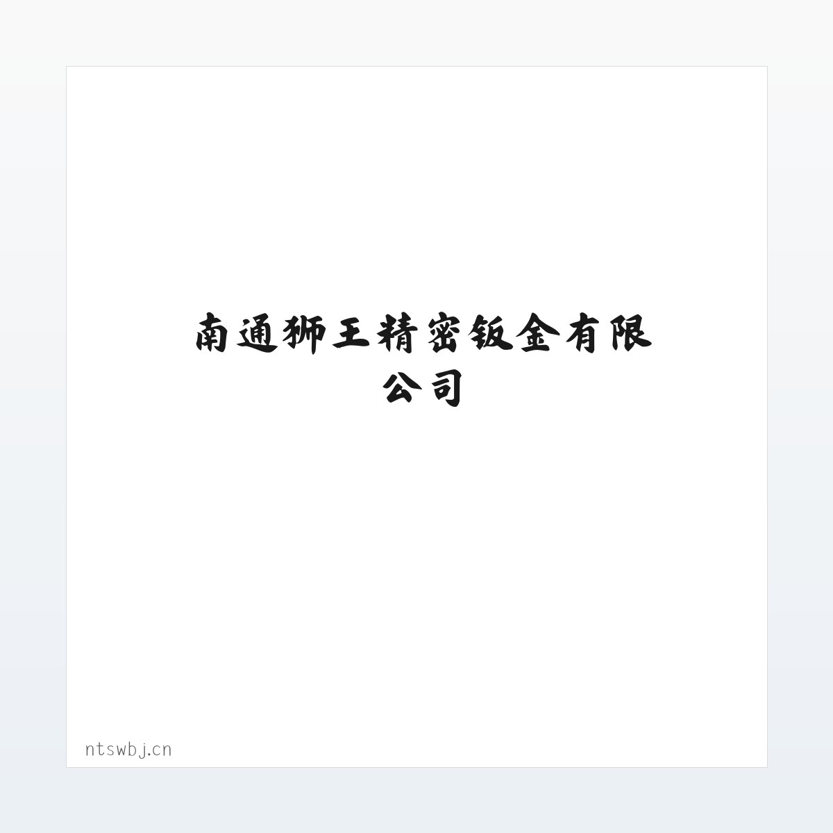 南通狮王精密钣金有限公司 方图
